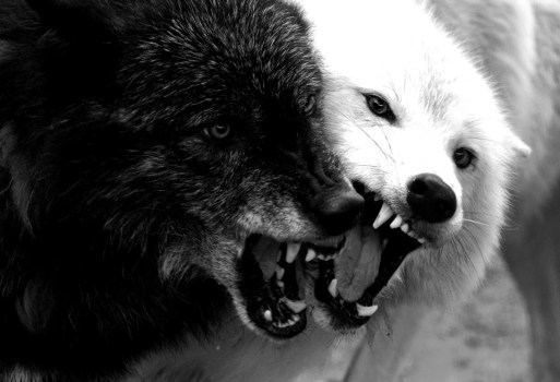 47bea3_94018ebae90740e790956dbf04a32f60~mv2